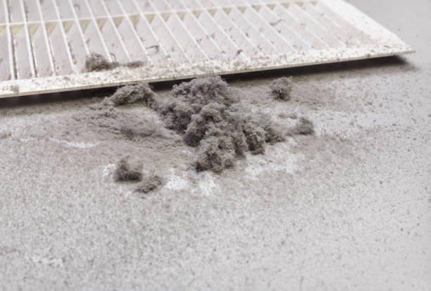 Best Air Duct Cleaning Near Me  in Collinwood, TN