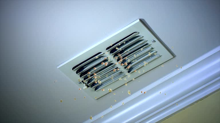 Best Best Air Duct Cleaning Company  in Collinwood, TN