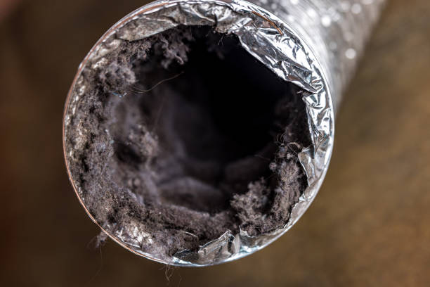 Best Duct Cleaning for Offices  in Collinwood, TN