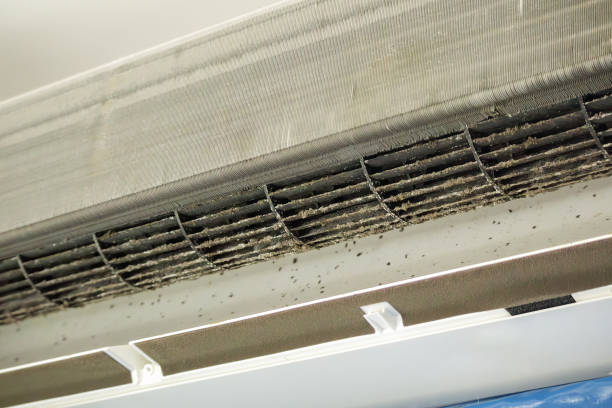 Best Dryer Vent Cleaning Services  in Collinwood, TN